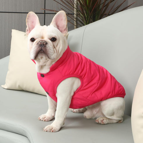 2 Layers Fleece Lined Warm Dog Jacket for Winter - Soft Windproof Small Dog Coat, Pink S