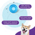 Outward Hound by Planet Dog Snoop Durable Interactive Treat Dispensing Dog Toy - Large, Blue