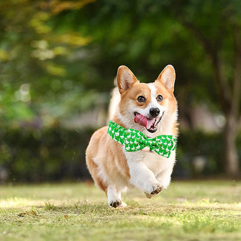Adjustable Dog Collar for X-Large Dogs, Green Gooses Summer Holiday Pet Collar for Boys & Girls