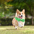 Adjustable Dog Collar for X-Large Dogs, Green Gooses Summer Holiday Pet Collar for Boys & Girls