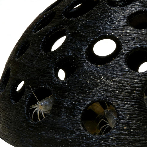 Generic Porous Shrimp Cave, Dome Underground Shelter, Fish Tank Cave for Aquarium Habitat, Freshwater Saltwater