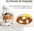 SUPERDESIGN Slow Feeder Dog Bowl - 1/2 Cup Slow Feeding Bowl for Small Medium Breed, Non Slip Puzzle Bowl