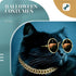 Xuniea 2 Pieces Cat Dog Chain Collar and Sunglasses Set - Rhinestone Collar with Secure Buckle, Gold, Black