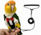 Magnoloran Bird Diapers Bird Harness Tuxedo Flight Suits with 80in Flying Leash Parrot