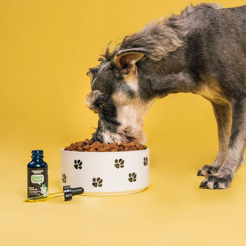 Homescape Pets Daily Thrive - Hemp Oil & Turmeric for Cats & Dogs, Anti-Inflammatory Pain Reliever