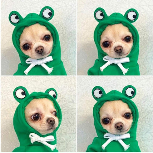 ChezAbbey Dog Hoodies, Pet Frog Clothes Outfit for Cold Weather, Doggie Hooded Sweatshirts for Small Medium Dogs