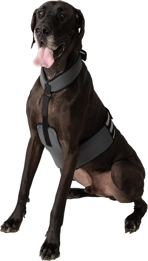 Dog Cooling Vest and Cooling Collar - Ice Vest for Dogs (XL)