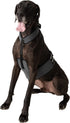 Dog Cooling Vest and Cooling Collar - Ice Vest for Dogs (XL)