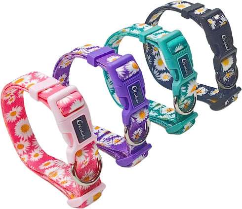 Dog Collar and Leash Set, Cute Daisy Pattern, 5ft Leash for Puppy Dogs, Extra Small, Green