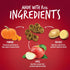 Fruitables Biggies Dog Biscuits, Crunchy with Pumpkin, Healthy Treats, Crispy Bacon & Apple, 16 oz