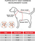 Puppia Dotty Step-in Vest Dog Harness, No Pull No Choke Easy Wear Training for Small Dog (Small, Sky Blue)