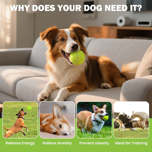 12/24/36/80 Pack FURWEY Tennis Balls, Bulk Tennis Balls Pressureless Tennis Ball, Come with Mesh Bag for Easy
