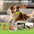 12/24/36/80 Pack FURWEY Tennis Balls, Bulk Tennis Balls Pressureless Tennis Ball, Come with Mesh Bag for Easy