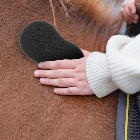 5pcs Soft Cleaning Sponges for Horse Grooming
