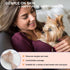 Cat-Ear Design Puppy Brush, Gentle Soft-Bristle Small Dogs Plastic Detangling Grooming Tool, Fit for Yorkie Shih Tzu