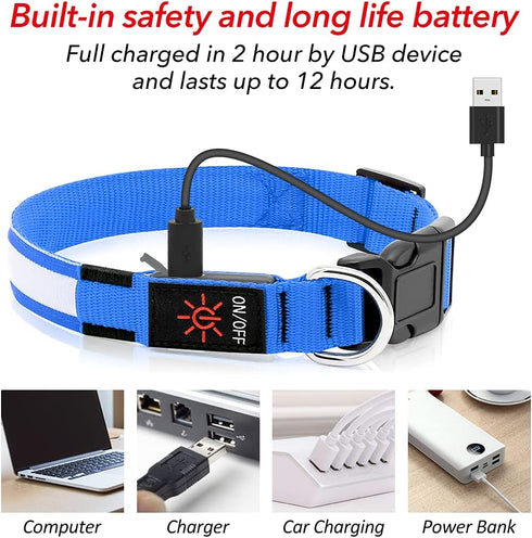 BSEEN Royal Blue Light Up Dog Collar - Reflective LED, Waterproof Glow in The Dark, Rechargeable for Night Walking