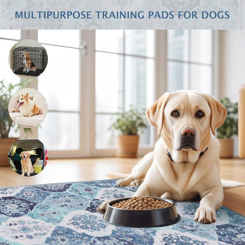 IEUUMLER 2 Pack EU011 (Blue,31" 36") Washable Pee Pads for Dogs, Reusable Pee Pads for Dogs Non-Slip Grip, Super
