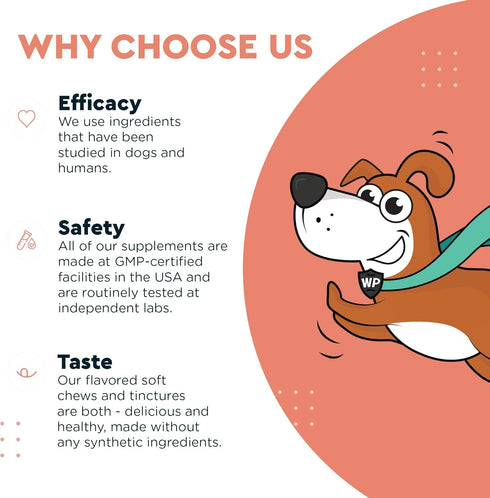 Skin & Coat Supplement for Dogs with Salmon Oil, Omega 3 & 6, 70 Soft Chews for Healthy Skin