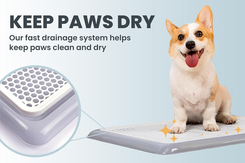 25x20 Pet Awesome Dog Potty Tray/Puppy Pee Pad Holder Indoor Wee Training for Small and Medium Dogs