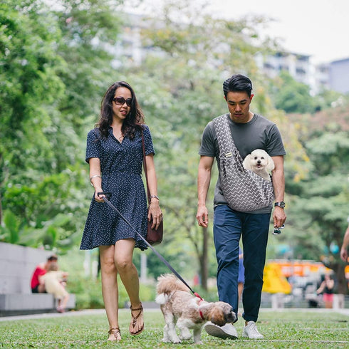 FDJASGY Small Pet Sling Carrier - Hands Free Reversible Tote Bag with Pocket Safety Belt for Dog Cat Outdoor Travel
