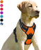 BARKBAY No Pull Dog Harness with Front Clip - Heavy Duty Reflective Control Handle for Large Dog Walking (Orange, S)