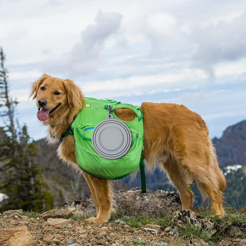 OHMO Collapsible Dog Water Bowl, No Spill Design, 24oz Medium, Portable Pet Bowl for Road Trips, Ash Color