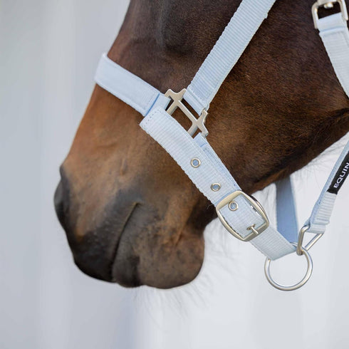 Equinavia Loki Adjustable Breakaway Horse Halter - Sweet Blue - Pony