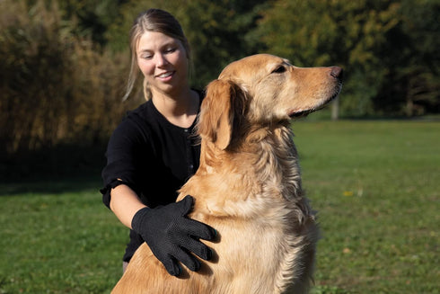 TRIXIE Pet Grooming Glove for Dogs and Cats - Cleans and Softens Coat