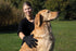 TRIXIE Pet Grooming Glove for Dogs and Cats - Cleans and Softens Coat