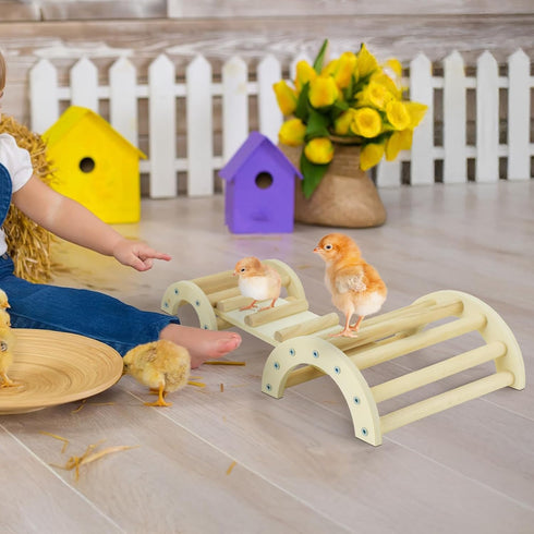 3in1 Chicken Perch Roosting Bar Jungle Gym Wooden Arch Bridge Platform Stand Ladder Climbing Ramp Toys for Chick