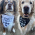 2 Pregnancy Announcement Dog Bandanas - Our Humans are Getting Us A Baby I Thought I was The Baby Dog Bandana - Pcs