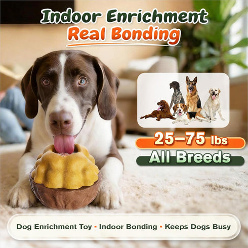 3-in-1 Frozen KADTC Dog Treat Ball, Large Size, No-Transfer Fill & Freeze Lick Cup, Treat Dispenser & Tough Chew Toy