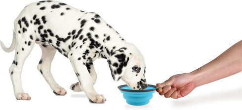 Dexas Popware for Pets Collapsible Travel Cup, Small, Gray/Blue