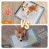 2 Pack 4 24" 24" LOOBANI Dog Pee Pad Holder - Silicone Puppy Pad Holder - High Edge Dog Potty Tray with Holder Clamps