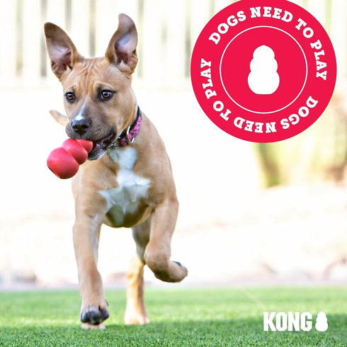 (Pack 2) KONG Classic Stuffable Dog Toy - Fetch & Chew Toy for Dogs - Treat-Filling Capabilities & Erratic Bounce