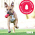 (Pack 2) KONG Classic Stuffable Dog Toy - Fetch & Chew Toy for Dogs - Treat-Filling Capabilities & Erratic Bounce
