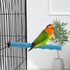 Hypeety Wood Perch Stand Paw Grinding Stick Toy for Bird Cage - Colorful Platform for Parrot Budgies Cockatiels (Random