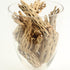 (2lb Koyal Wholesale Natural Cholla Wood Aquarium Branches, Airplants Decor, Reptile Perch, Untreated Cholla Wood