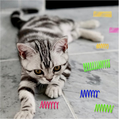 4 8 Andiker Cat Toys for Indoor Cats, Big Cat Springs & Small Springs Cat Interactive Toy for Cats Swatting, Biting