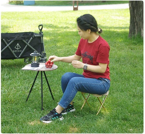 KOMBABE 300lb Portable Folding Stool with Carrying Case, Capacity, Black Metal Frame, Compact Travel Chair for Camping