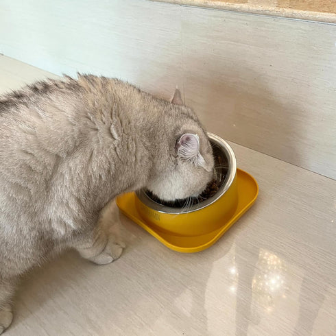 Tilted Cat Feeding Bowls, Whisker Friendly Raised Bowls for Indoor Cats, 3 in 1 Combined Design (Yellow)