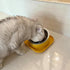 Tilted Cat Feeding Bowls, Whisker Friendly Raised Bowls for Indoor Cats, 3 in 1 Combined Design (Yellow)