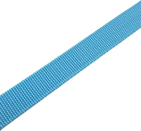Strong Dog Leash 4FT/5FT/6FT, Nylon Leashes for Small Medium Large Dogs (Blue, 1 in x 15 ft)