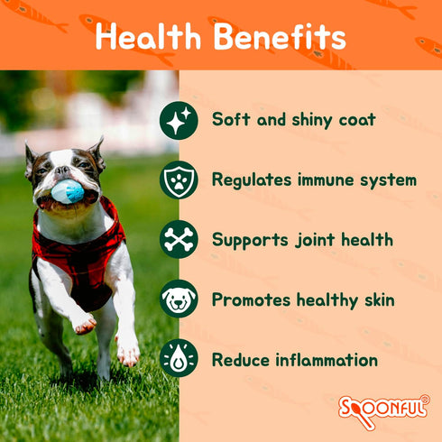 100% 220 126 Spoonful Salmon Fresh - Natural Wild-Caught Alaskan Salmon Oil mg Mini Softgel, Mini Softgels | DHA, EPA