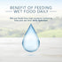 Pack, 12.5-oz (8 Count- 4 Blue Buffalo Homestyle Recipe Natural Adult Wet Dog Food Variety Chicken & Beef Can of Each