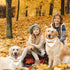 Dog Bandana Collar, 4 PCS DIY Sublimation Blank Adjustable Buckle Triangle Scarfs for Large Dogs