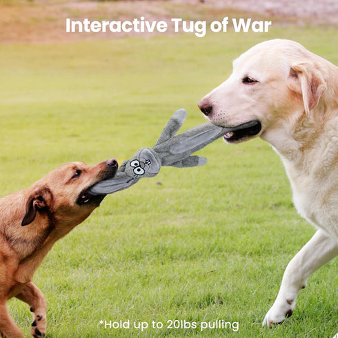 HGB Squeaky Dog Toys, No Stuffing Crinkle Toys for Large Medium Small Dogs, 2 Pack Interactive Chew Toys
