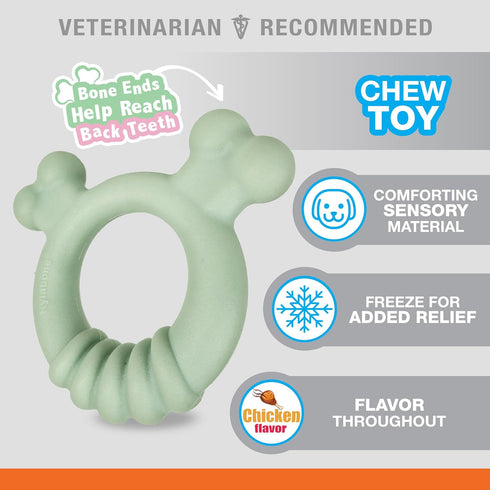 Nylabone Sensory Material Puppy Chew Toys Bundle, Allergen-Free Peanut Butter and Chicken Flavor, Small/Regular (2