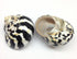 PEPPERLONELY 2 2-1/4 Inch 2-3/4 Inch PC Polished Black Magpie Turbo Sea Shell, Hermit Crab Sea Shells, ~