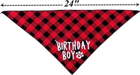 Dog Birthday Hat and Bandana Boy Set